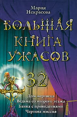 Мария Некрасова Чертова миссия обложка книги