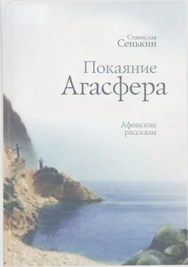 Станислав Сенькин Покаяние Агасфера: афонские рассказы обложка книги