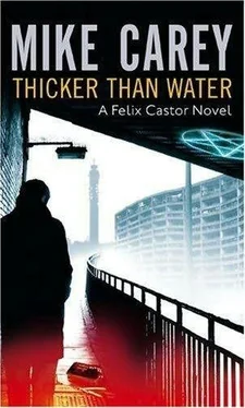 Mike Carey Thicker Than Water обложка книги
