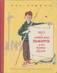 Валентин Рушкис - Повесть о славных делах Волли Крууса и его верных друзей