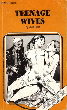 John Peter Teenage wives обложка книги