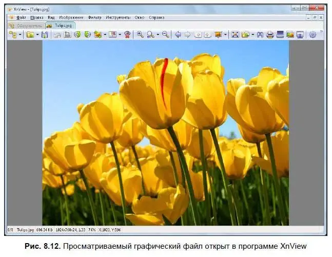 Программа позволяет не только просматривать изображения но и конвертирует - фото 212