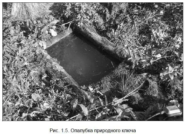 Опущенный внутрь опалубки погружной насос своими лопастями поднимает со дна - фото 6