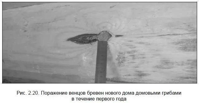 Причинами загнивания нижних частей деревянных стен являются неправильное - фото 31