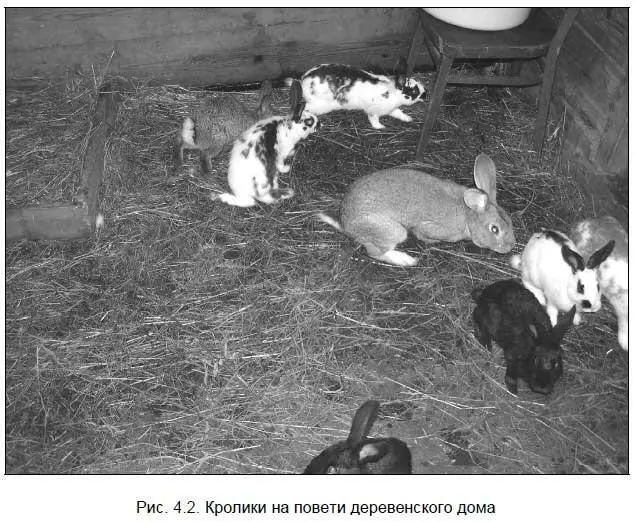 Вот как у меня это получилось Когда сена на повети площадью 40 м 2оставалось - фото 63