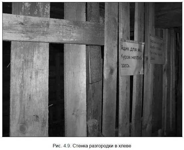 Кроме квартирклеток еще остается коридор 13 м где козы могут гулять если - фото 70