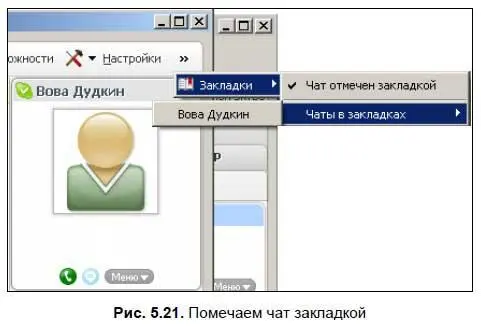 Прямо из окна чата можно изменить свое персональное Инфоили воспользоваться - фото 148