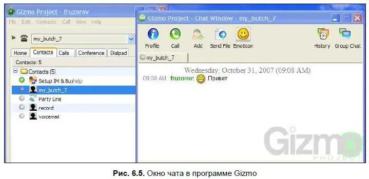 История чата Программа Gizmo протоколирует с кем и когда вы вели текстовую - фото 171