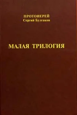 Сергий Булгаков Малая трилогия обложка книги