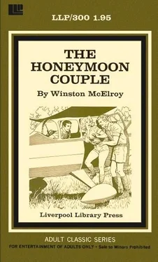 Winston McElroy The honeymoon couple обложка книги