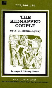 F. Hemmingway The kidnapped couple обложка книги
