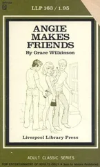 Grace Wilkinson - Angie makes friends