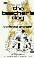 Carlotta Graham - The Teacher's dog