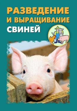 Илья Мельников Разведение и выращивание свиней обложка книги