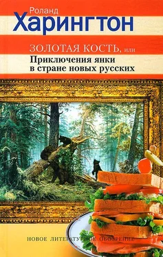 Роланд Харингтон Золотая кость, или Приключения янки в стране новых русских обложка книги