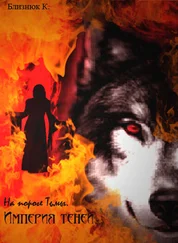 Ксения Близнюк - На пороге Тьмы. Империя Теней