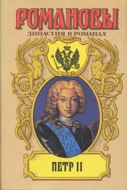 Петр Полежаев Фавор и опала обложка книги