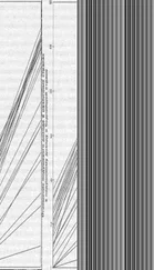 Уильям Истерли - В Поисках Роста