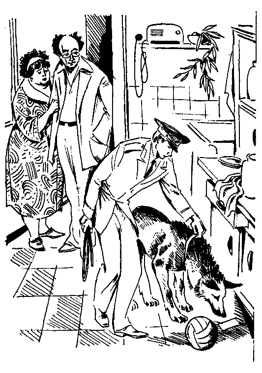 Саша на кухне возле буфета мяч проводи пожалуйста собачку сказала - фото 8