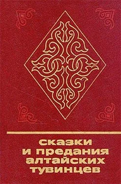 Эрика Таубе Сказки и предания алтайских тувинцев обложка книги