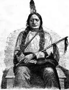 Campaigns of General Custer in the Northwest and the final surrender of Sitting Bull - фото 13