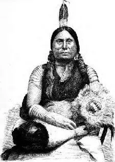 Chief Gall This for amp ime gave rise to angry feelings among the warriors - фото 8