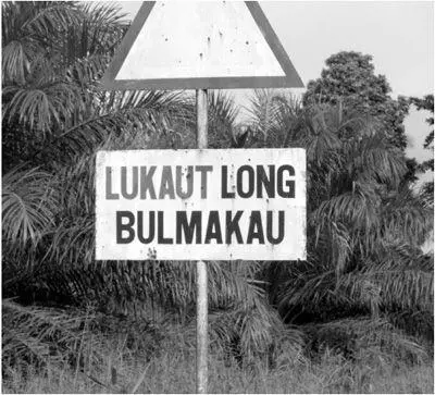 14 A sign in Tok Pisin in Papua New Guinea It reads Beware of cattle - фото 85