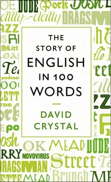 David Crystal The Story of English in 100 Words обложка книги