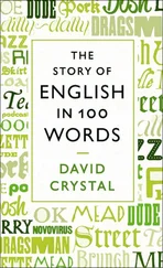 David Crystal - The Story of English in 100 Words