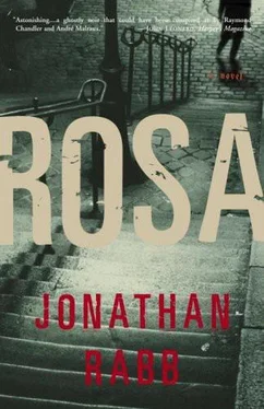 Jonathan Rabb Rosa обложка книги