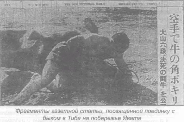 Наиболее известные во всем мире публичные поединки с быками Ояма провел сразу - фото 45