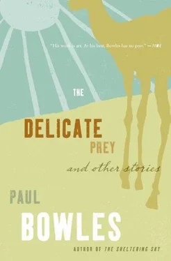 Paul Bowles The Delicate Prey: And Other Stories обложка книги