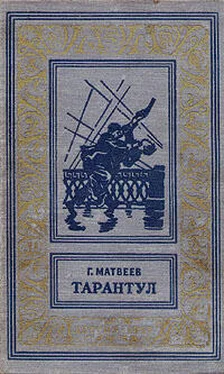 Герман Матвеев Тайная схватка обложка книги