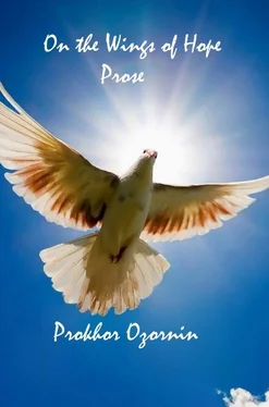 Prokhor Ozornin On the Wings of Hope: Prose обложка книги