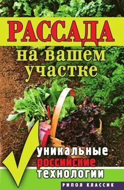 Светлана Ермакова Рассада на вашем участке. Уникальные российские технологии обложка книги