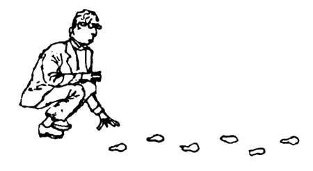 1 Настоящее пиршество Светлая скатерть ясная как утро и в меню блюда со - фото 11