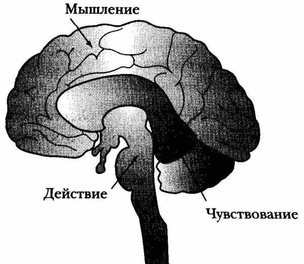 Рисунок 1 Любезно предоставлен фондом Прикоснись к будущему В конце этой - фото 2