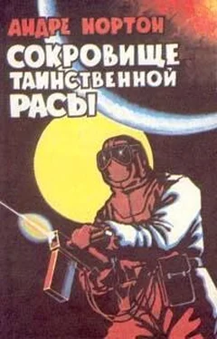 Андрэ Нортон Сокровище таинственной расы обложка книги