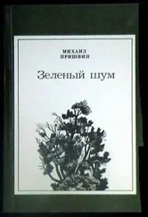 Михаил Пришвин - Мои тетрадки