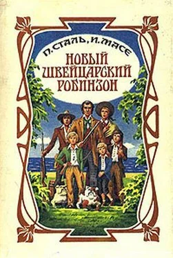 Иоганн Висс Новый швейцарский Робинзон обложка книги