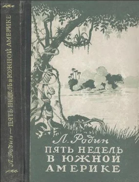 Леонид Родин Пять недель в Южной Америке обложка книги