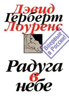 Дэвид Лоуренс Радуга в небе