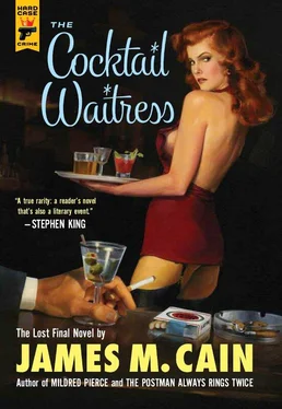 James Cain The Cocktail Waitress обложка книги