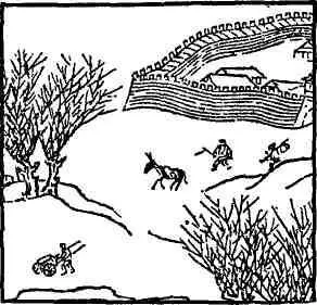 Полное название О том как Ван Синьчжи смертью своей спас всю семью Фэн - фото 20