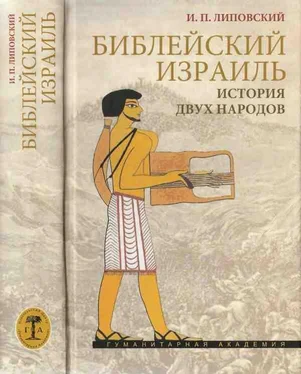 Игорь Липовский Библейский Израиль. История двух народов обложка книги