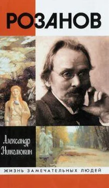 Александр Николюкин Розанов обложка книги