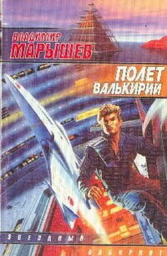 Владимир Марышев Полет валькирий обложка книги