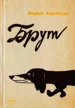 Людвик Ашкенази Брут обложка книги