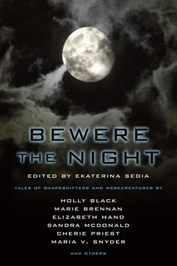 Ekaterina Sedia Bewere the Night обложка книги