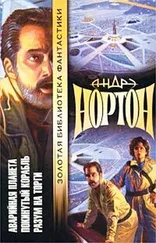 Андрэ Нортон - Разум на торги